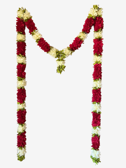 h118-removebg-preview