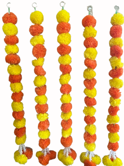 h126-removebg-preview