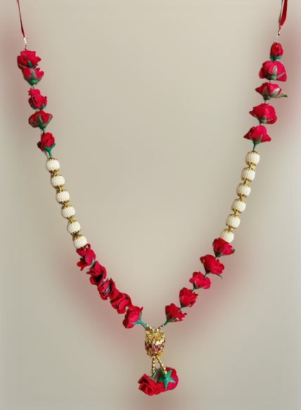 p23-removebg-preview